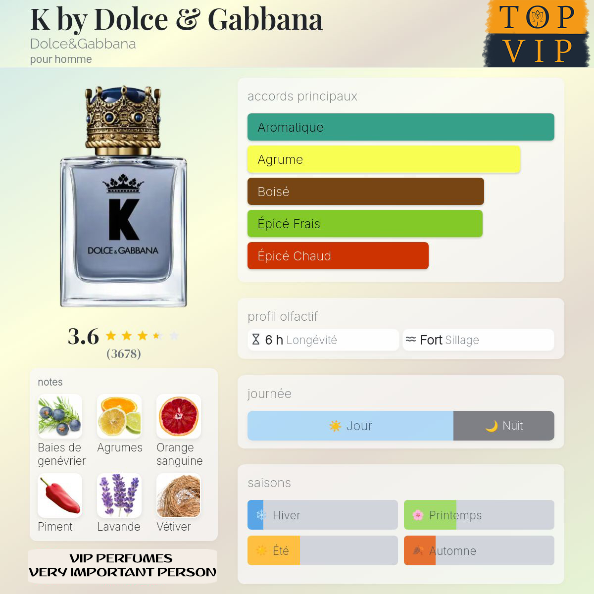 Dolce & Gabbana K by