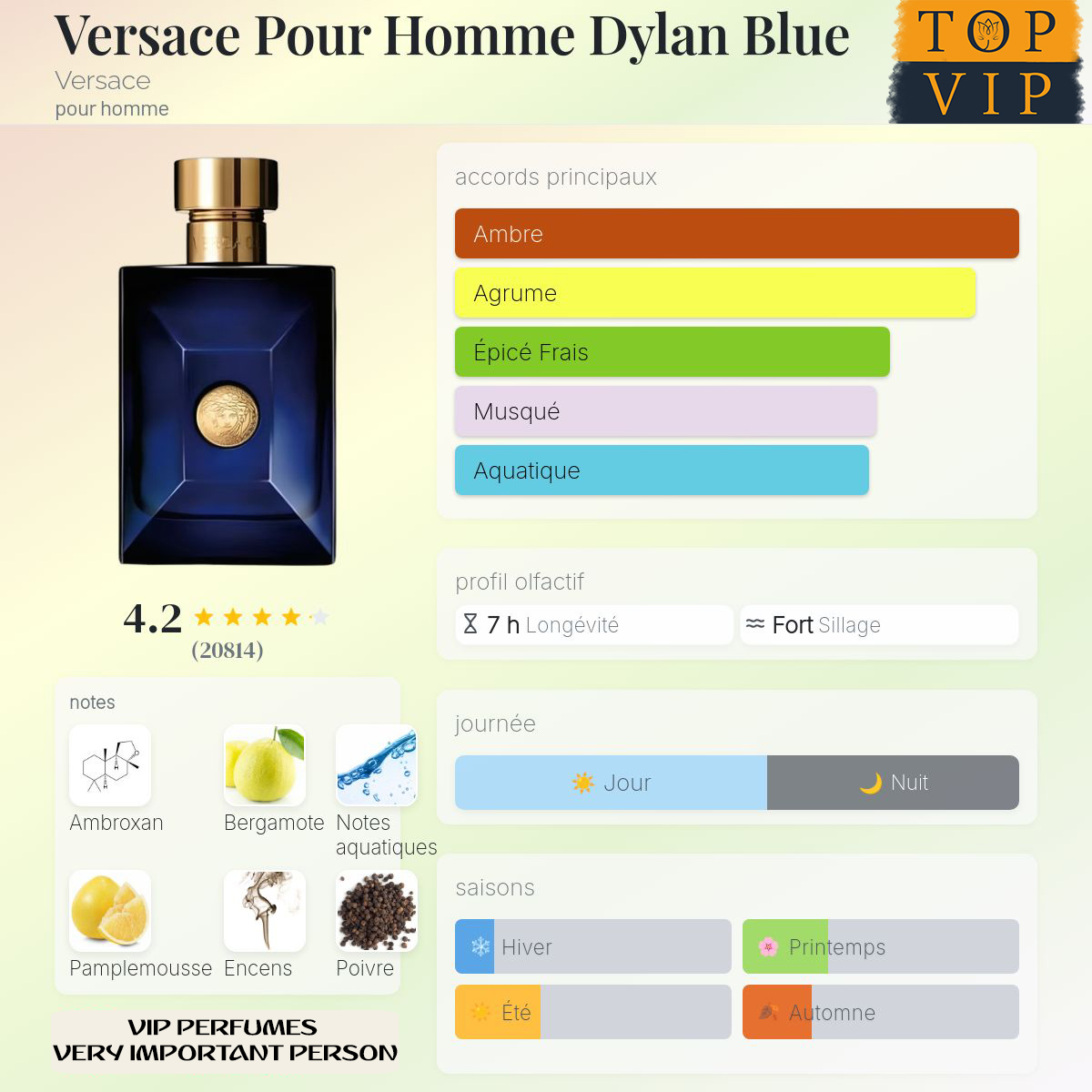 Versace Versace Pour Homme Dylan Blue
