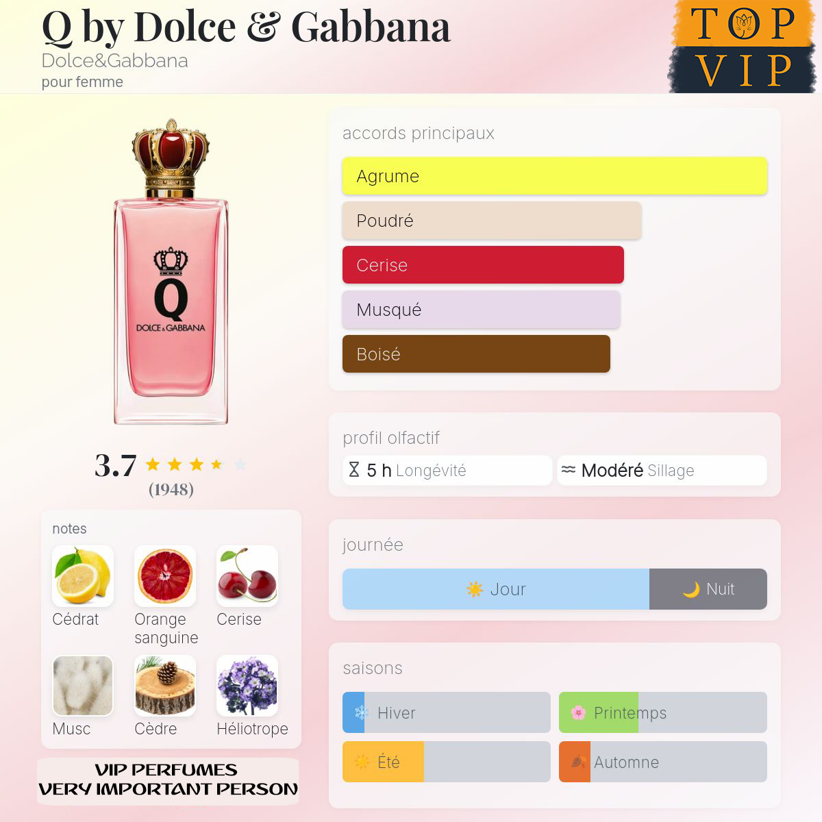 Dolce&Gabbana Q by